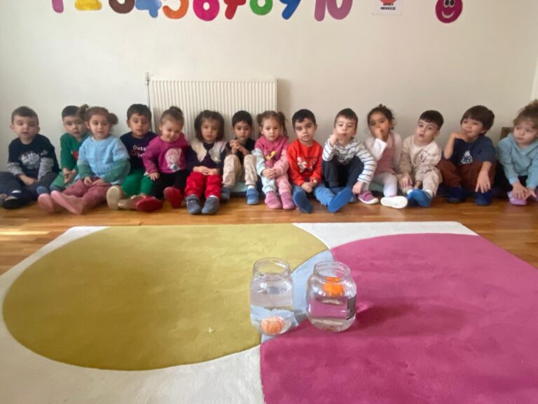 Fen ve deneyler, çocuklara keşfetmeye dayalı bir öğrenme süreci sunar. Bu etkinlikler, çocukların doğa olaylarını anlamalarına, merak duygularını beslemelerine ve bilimsel düşünme becerilerini geliştirmelerine yardımcı olur. Basit deneyler, çocukların gözlem yapma, tahminlerde bulunma, sonuçları karşılaştırma ve neden-sonuç ilişkisi kurma gibi becerilerini pekiştirir. Ayrıca, çocuklar fen bilimlerinin temel kavramlarını eğlenceli ve etkileşimli bir şekilde öğrenirken, takım çalışması, dikkat ve odaklanma gibi sosyal ve bilişsel beceriler de kazanır. Fen ve deneyler, çocukların çevreye olan ilgisini artırarak, bilimsel meraklarını geliştiren ve onları gelecekteki öğrenme süreçlerine hazırlayan önemli bir etkinliktir.